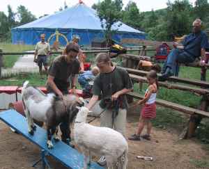 Ziegenbock und Schaf wippen vor unserem Zirkuszelt