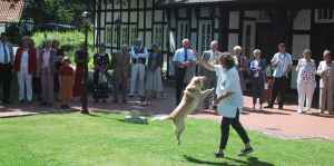 dogdancing in Melle