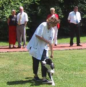 dogdancing mit Moni: "Wherever you go"