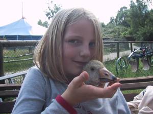 Lorena spielt Doppelkopf