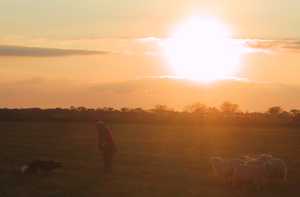 Sonnenuntergang auf der Insel Fhr
