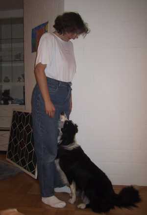 Moni apportiert Metallapportel