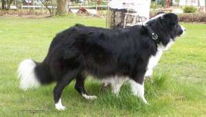 Frhling in Bad Essen