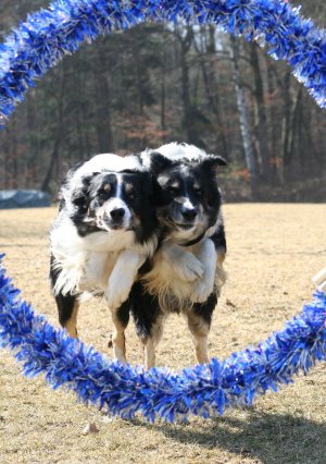 Dusty und rechts von ihm sein Sohn Merlin