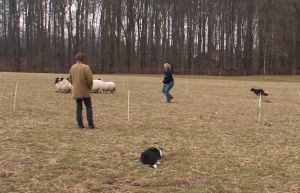 dann Arbeit am Netz (Amigo und Kirsten)