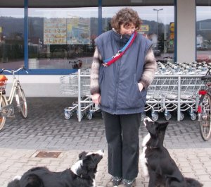 ben fr die Begleithundeprfung