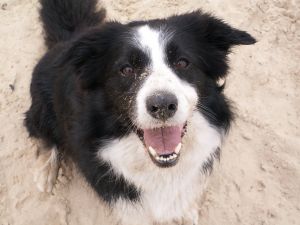 ....ein schner Tag, hier am Strand