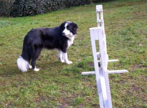 Moni stehend 5. Woche