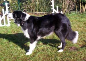 Moni stehend 5. Woche