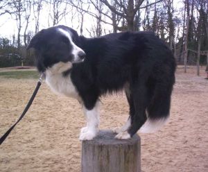 Moni...manchmal etwas zickig