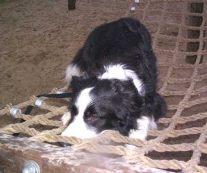 Hngematten-Zwangspause