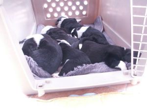 Ausflug: Alle schlafen!