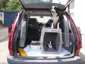Ausflug 02. Juni 2006 im "Hundefamilien-Wohnmobil"