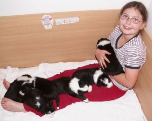 Alle Sechs sind auf Rahel entschlummert!