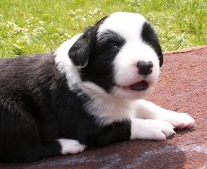 Bonita ist 3 Wochen alt und kann schon lachen