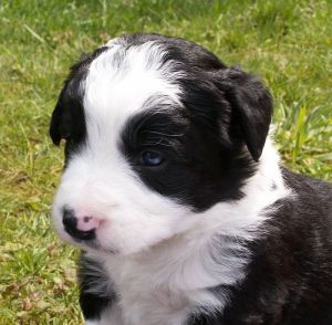 Bounty ist 3 Wochen alt