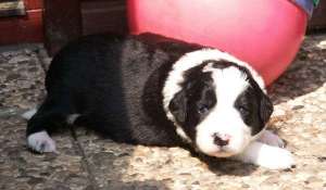 Bounty ist 2 Wochen alt und erobert die Umwelt