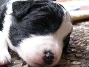 Bounty ist 2 Wochen alt