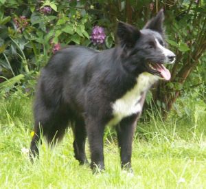 "Bitte spiel mit mir weiter!"