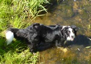 Moni beim Füßewaschen