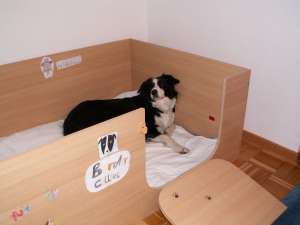 Moni testet die Wurfkiste