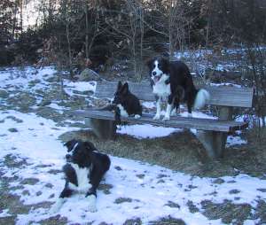 Amigo, Amidala und Moni