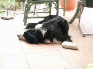 Ausflug: Alle schlafen!