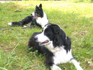 Moni mit Dusty-Sohn Merlin