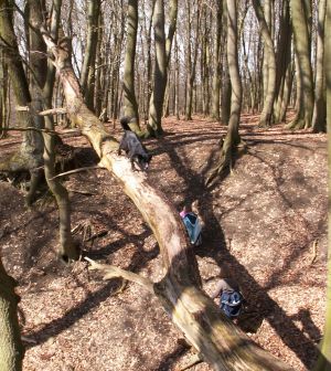 Dala wollte hher hinaus