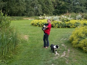 Schlosspark Ippenburg