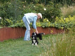 Schlosspark Ippenburg