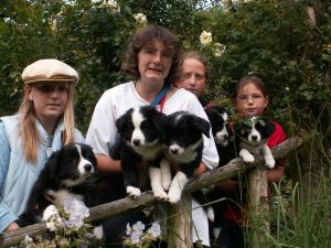 Schlosspark Ippenburg