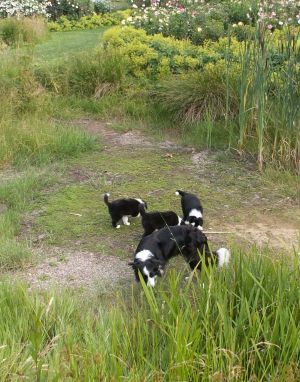 Schlosspark Ippenburg