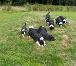 Schlosspark Ippenburg