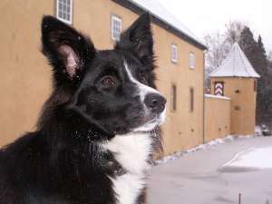 Fototime am Schloss Hnnefeld