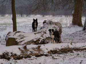 Moni und Dala: Auf und Steh