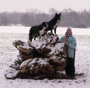 Moni und Dala klettern mit Lorena