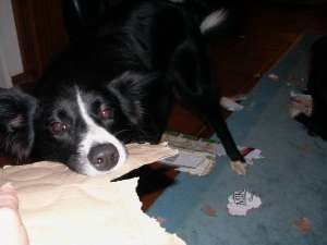 Zerren ist auch klasse!