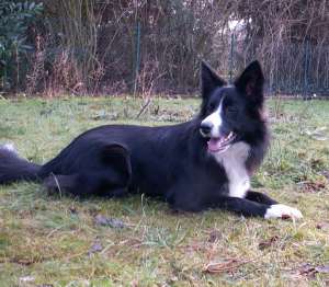 Da war unser Garten noch ein bisschen grn