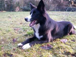 Da war unser Garten noch ein bisschen grn