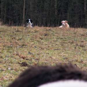 Moni und Savage hten mehr oder weniger ;-)))