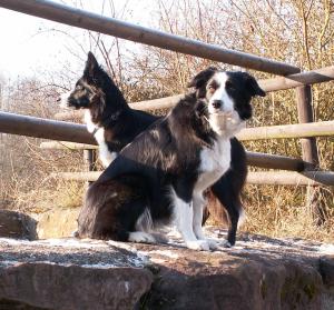Moni und Dala im Enzauenpark