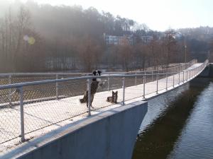 Moni und Dala im Enzauenpark