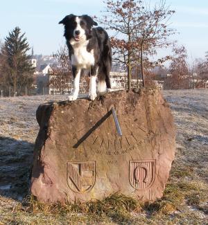 Moni: Mach es  wie die Sonnenuhr- zhl die heiteren Stunden nur.