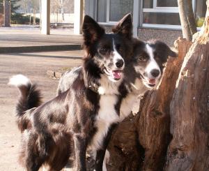 Klettern in Eutingen