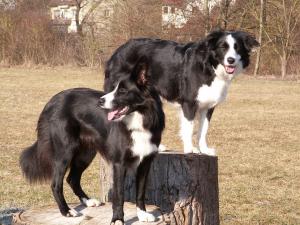 Klettern bei Mhlacker