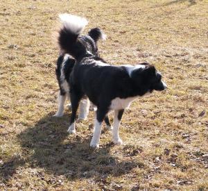 Hmmh...ein lecker Mdele und Moni ist auch bereit