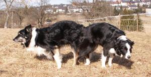 Moni und Dusty hngen noch