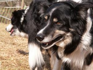 sie hngen noch immer