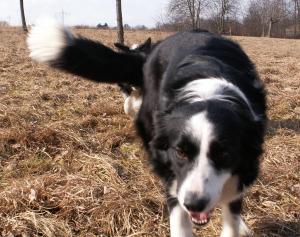 Moni kommt freudestrahlend: Habt Ihrs gesehen...ich bin voooollllll :-))))))))))))))